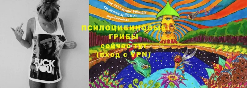 Галлюциногенные грибы Cubensis  Болхов 